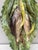 19th Century Majolica Palissy Fishs Platter Leaf signed Battaglia Varages ( Var )
