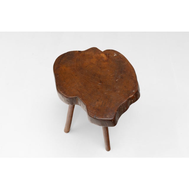 Root Top Tripod Table, 1900 For Sale - Image 4 of 8