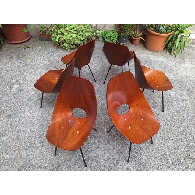1950s Chairs by Vittorio Nobili for Medea, 1950s, Set of 6 For Sale - Image 5 of 14