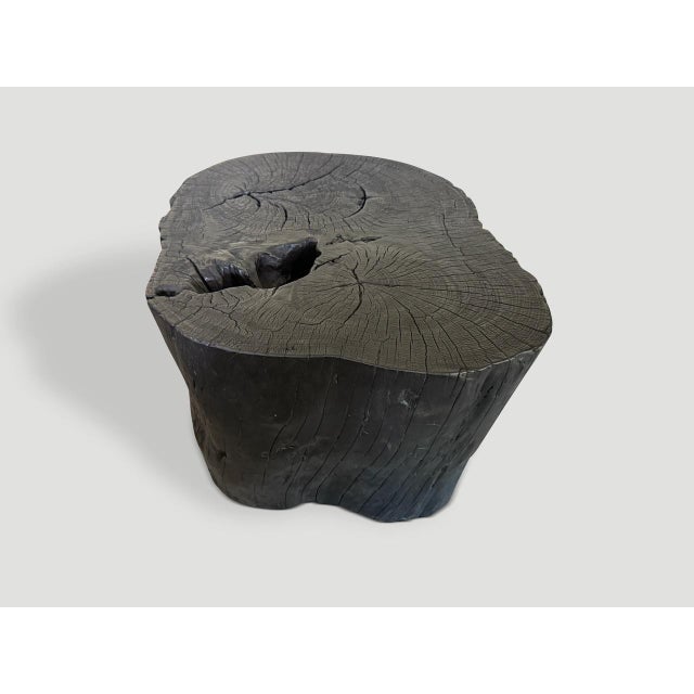 Andrianna Shamaris Charred Coffee Table or Side Table For Sale - Image 4 of 5