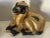 Ceramic Pair of Gold Porcelain Bastet Cat Goddesses Protectors of Women Qing Dynasty For Sale - Image 7 of 9