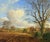 1985 Richard Woods Winter landscape with Seagulls on ploughed fields in the English Countryside For Sale - Image 11 of 15