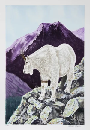 Allen Friedman, Capricorn, Lithograph