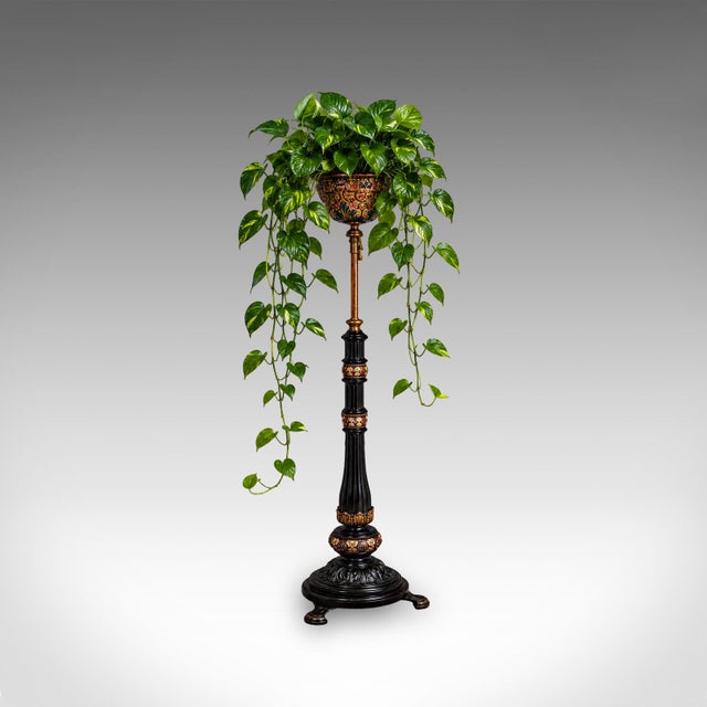 This is an antique hanging plant stand. An English, ebonised mahogany and brass parcel gilt height adjustable Aspidistra...