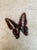 Cream 1960s Large Fiberglass Butterfly Serving Bowl For Sale - Image 8 of 10