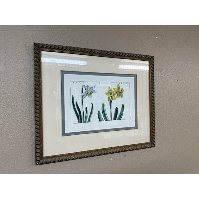 Design Plus Gallery presents a Botanical Art Print in a Golden Roped Frame. The botanical print has three flowering...