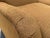 Lee Industries Lee Industries English Roll Arm Skirted Lounge Chairs, Pair For Sale - Image 4 of 12
