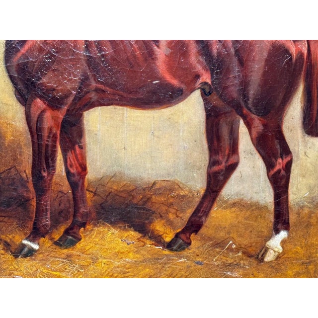 Chestnut Circa 1843 Signed Charles Bilger Spalding Chestnut Hunter British Equestrian Oil Painting For Sale - Image 8 of 18