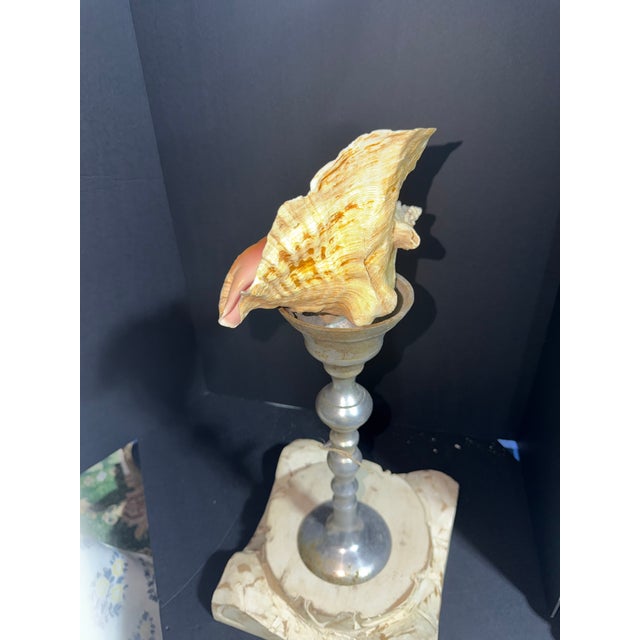 Coastal Celestial Meets the Sea the Crowned Glory-Coastal Art Sculpture For Sale - Image 3 of 4