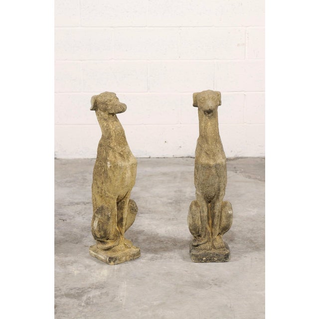 Tan Mid 20th Century Pair of Stone Greyhound Garden Statues For Sale - Image 8 of 11