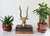 Vintage brass antelope sculpture. Made in Taiwan R.O.C. Patina.