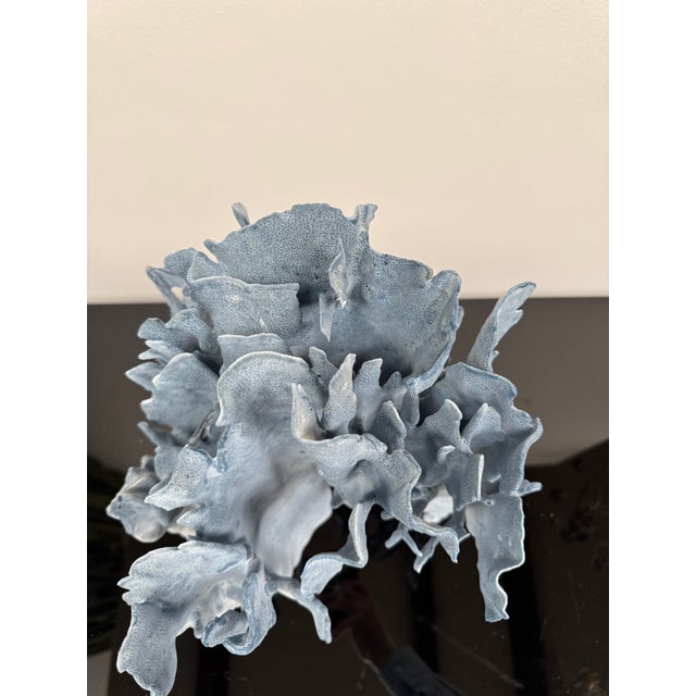 Very Large Specimen of Blue Coral For Sale - Image 12 of 12