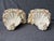 Vintage Coastal Seashell Encrusted Wall Bracket a Pair For Sale - Image 13 of 17