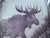 Moser Harrach Amethyst Cameo Vase with Engraved Elk by Gunter For Sale - Image 10 of 18