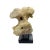 Tribal Indonesian Coral Stone On Teak Stand For Sale - Image 3 of 5