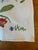 Textile 1980s Vera Napkins, Lily Floral Pattern, Set of 2 For Sale - Image 7 of 7