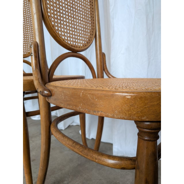 Vintage Bentwood and Cane Dining Chairs, Former Yugoslavia, 1970s, Set of 8 For Sale - Image 12 of 18