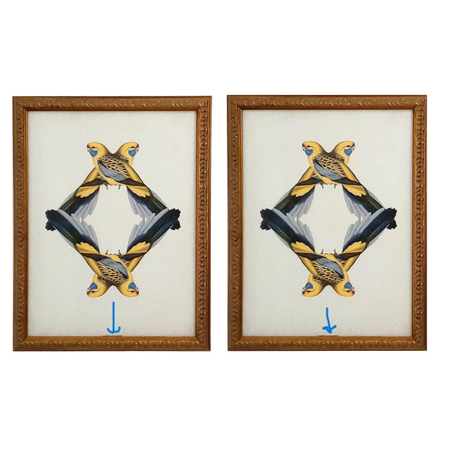 Late 20th Century Print Pair Parrots For Sale - Image 5 of 10