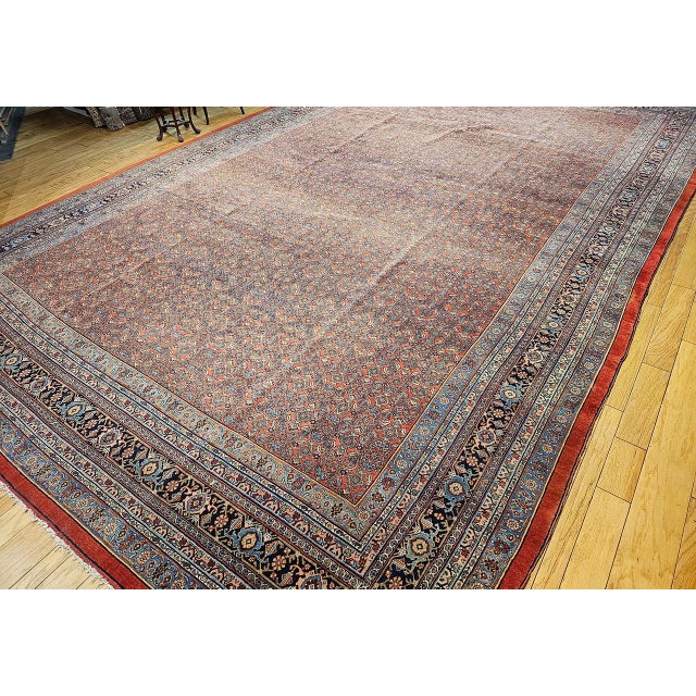 Early 20th Century Bidjar Rug For Sale In Chicago - Image 6 of 18