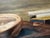 Mid 19th Century Still Life Oil Painting of Shells by August Holmberg For Sale - Image 4 of 8