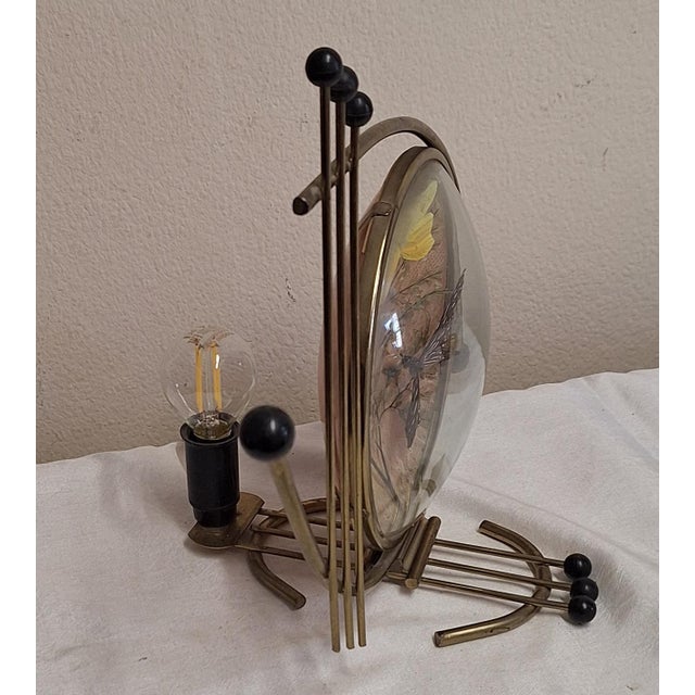 Metal Mid-Century Mood Table Lamp with Brass Frame and Backlit Butterfly Collage, 1960s For Sale - Image 7 of 9