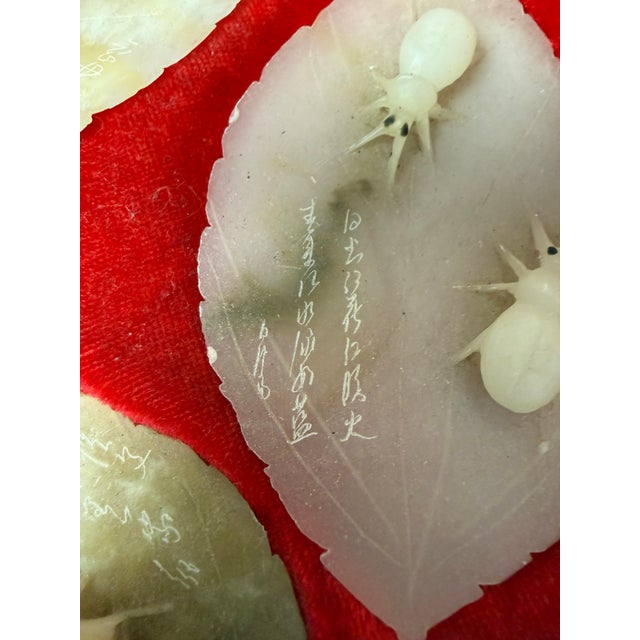 Vintage Boxed Set of Carved Jade Insect Leaves For Sale In Richmond - Image 6 of 8