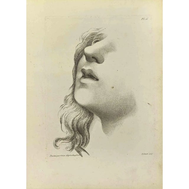 Nicholas Cochin, Portrait after Raphael, Etching, 1755 For Sale