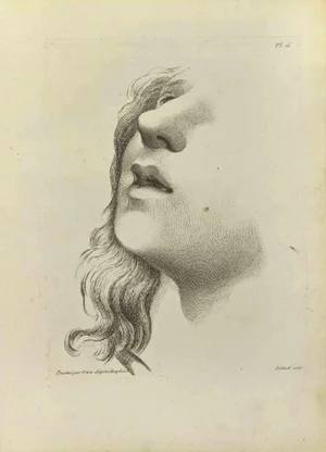 Nicholas Cochin, Portrait after Raphael, Etching, 1755