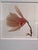 Contemporary Mid 20th Century Jon Olsen Signed Framed Photo Print Tuliptree Blossom Fine Art Botanical For Sale - Image 3 of 7