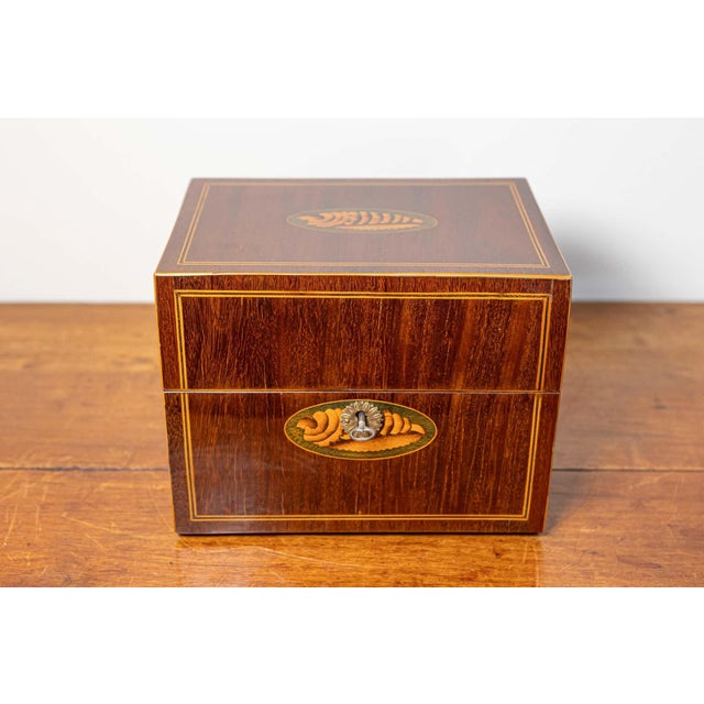 Mid-Century Modern Danish 1840s Mahogany Box with Ash Shell Marquetry, Banding and Lateral Handles For Sale - Image 3 of 10