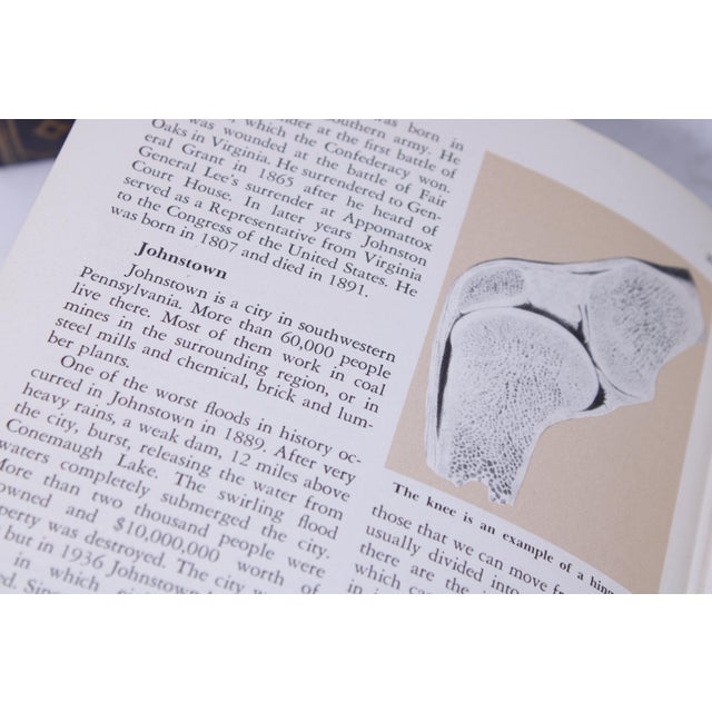 Set of Illustrated c.1959 Encyclopedia of Knowledge Books For Sale - Image 10 of 12