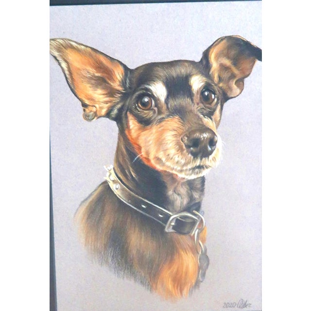 This is an easy way to brighten any room! I don't know his breed, only that he's adorable! Country of Origin: United...