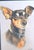 This is an easy way to brighten any room! I don't know his breed, only that he's adorable! Country of Origin: United...