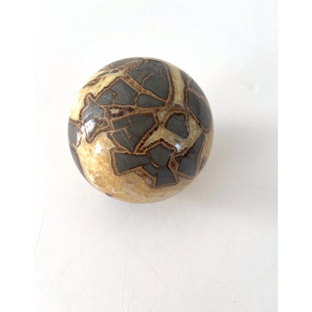Contemporary Septarian Nodule Orb on Stand - Mineral Specimen, 4" For Sale - Image 3 of 12