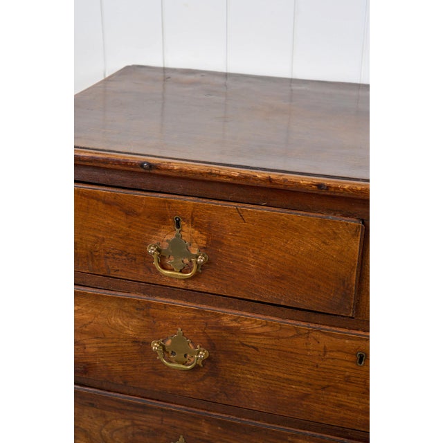 19th Century Oak Two Over Three Chest With Chippendale Pulls For Sale In Charleston - Image 6 of 12