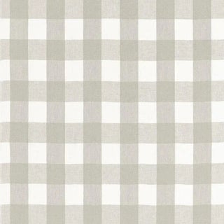 Schumacher Key West Check Fabric in Zinc For Sale