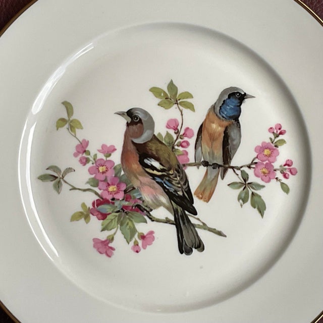 Mid 20th Century Porcelain Song Bird Plates JKW Western Germany, Set of 6 For Sale - Image 11 of 18