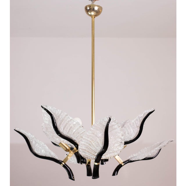 Large Size Chandelier Franco Luce for Seguso, Murano Glass, 1970s For Sale - Image 9 of 12