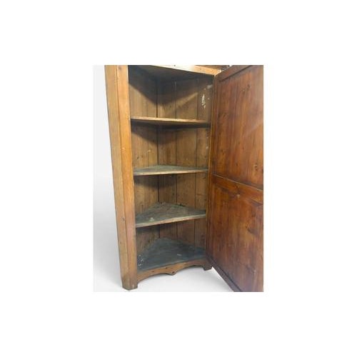 Antique Single-Door Corner Wardrobe with Internal Shelves For Sale - Image 4 of 9