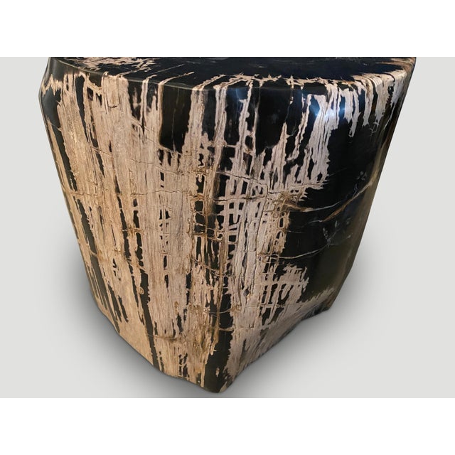 Andrianna Shamaris Ancient Sculptural Petrified Wood Side Table For Sale In New York - Image 6 of 18