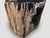 Andrianna Shamaris Ancient Sculptural Petrified Wood Side Table For Sale In New York - Image 6 of 18