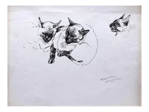 Marie Paulette Lagosse, The Cat, Pen on Paper, 1970s