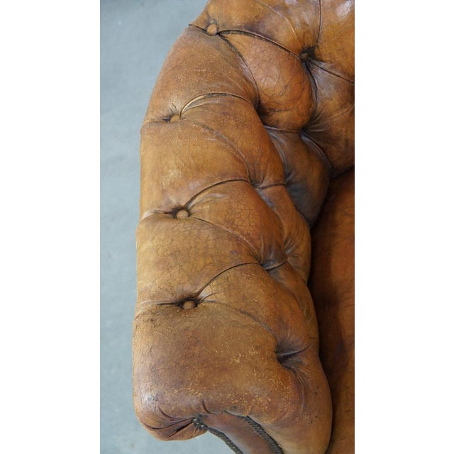 Animal Skin Antique Chesterfield Club Chair in Sheepskin For Sale - Image 7 of 15