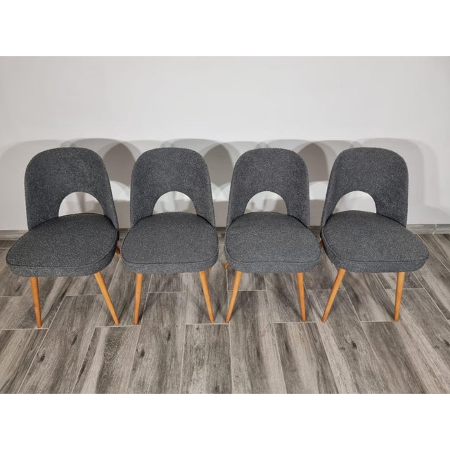 Dining Chairs by Oswald Haerdtl for Ton, 1950s, Set of 4 For Sale - Image 6 of 14