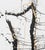 Virginia Dutton Abstract Ink and Acrylic Painting, “Torso” 2015 Virginia Dutton, American This large vertical painting is...