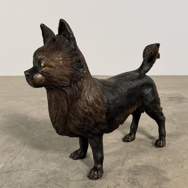Charming bronze sculpture of a Chihuahua, captured with remarkable detail and personality. This piece features finely...