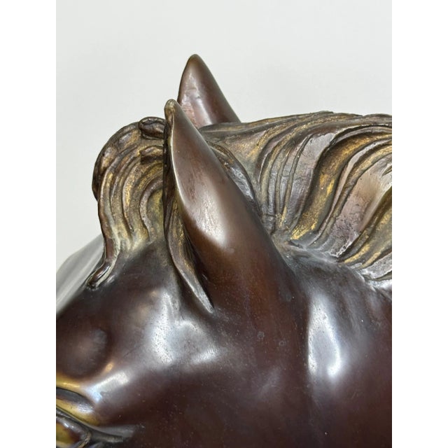 Mid-Century Italian Expressive Bronze Horse Head Sculpture C1950 After Raffaello Romanelli For Sale - Image 11 of 16