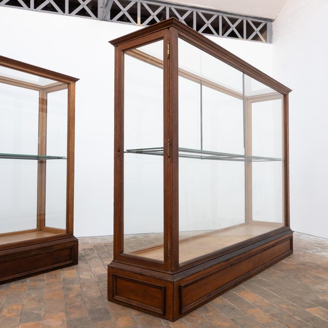 Antique Oak Museum Display Cases, 1900 For Sale - Image 10 of 13