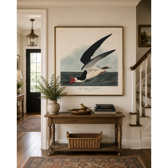 Illustration Black Skimmer, Vintage Art Print Reproduction From Birds of America by John James Audubon, 24" X 24" For Sale - Image 3 of 10
