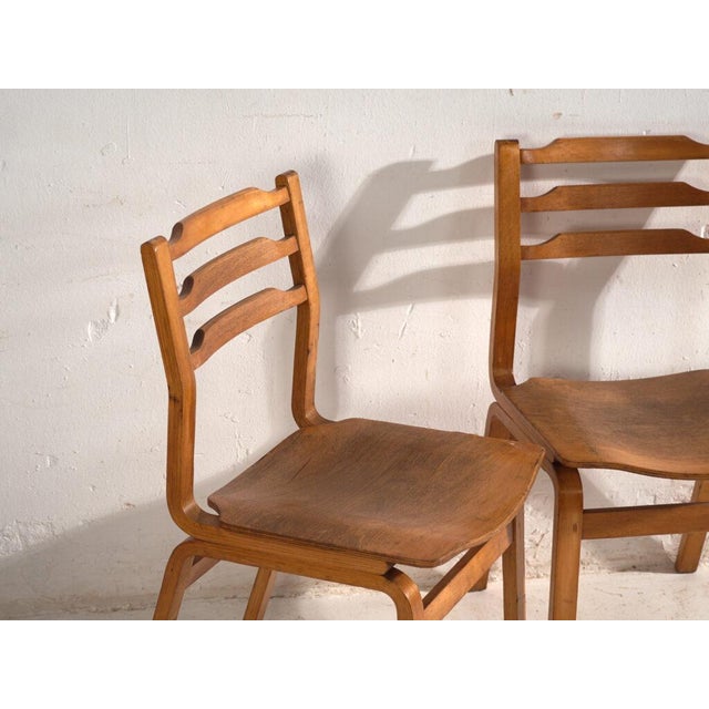 Wood Chairs in Beech and Moulded Plywood, Central Europe, 1960, Set of 3 For Sale - Image 7 of 12
